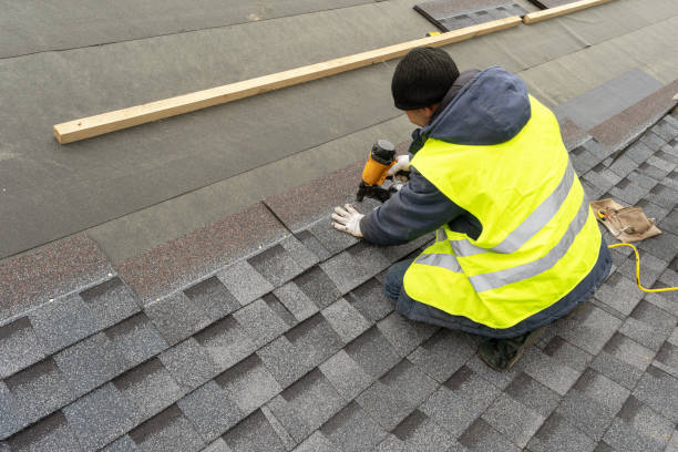 Best Roof Gutter Cleaning  in Wakeeney, KS