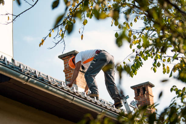 Best Metal Roofing Contractor  in Wakeeney, KS