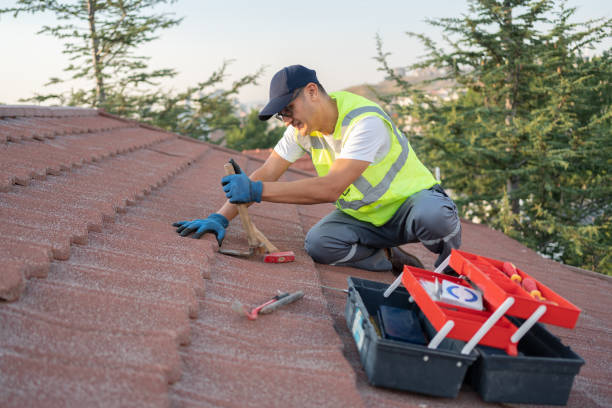Best Local Roofing Companies  in Wakeeney, KS